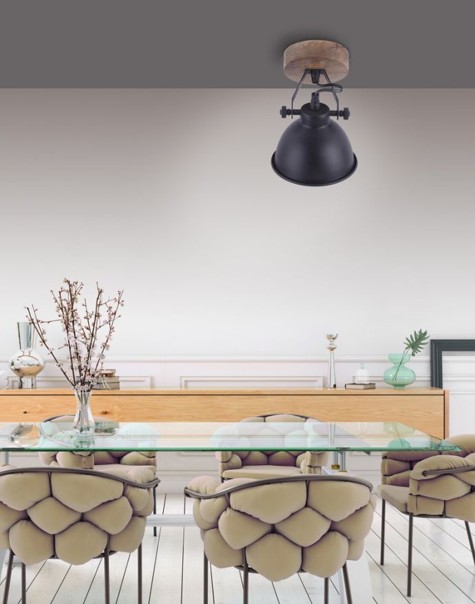 Deckenleuchte, schwarz, Retro Look, energiesparend, Industrial Design